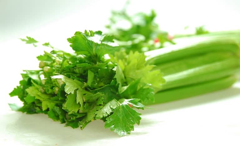 rau cần tây