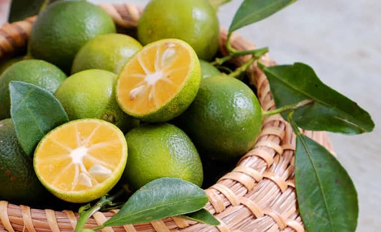 công dụng của trái tắc đối với sức khoẻ