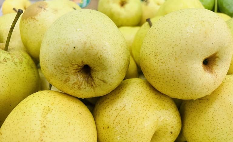 công dụng tuyệt vời của trái lê